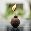 Load image into Gallery viewer, Fire Starter - 100% Organic - 8 Pack